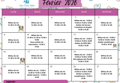 Programmation février